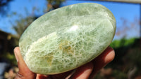 Polished Green Fluorite Standing Free Forms  x 4 From Uis, Namibia