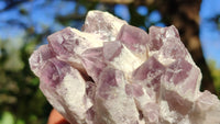 Natural Sugar Amethyst Clusters  x 6 From Solwezi, Zambia