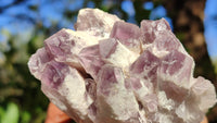 Natural Sugar Amethyst Clusters  x 6 From Solwezi, Zambia