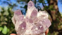 Natural Sugar Amethyst Clusters  x 6 From Solwezi, Zambia