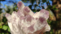 Natural Sugar Amethyst Clusters  x 6 From Solwezi, Zambia