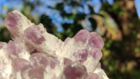 Natural Sugar Amethyst Clusters  x 6 From Solwezi, Zambia