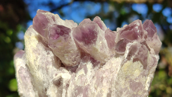 Natural Sugar Amethyst Clusters  x 6 From Solwezi, Zambia