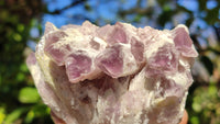 Natural Sugar Amethyst Clusters  x 6 From Solwezi, Zambia