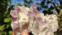 Natural Sugar Amethyst Clusters  x 6 From Solwezi, Zambia