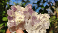 Natural Sugar Amethyst Clusters  x 6 From Solwezi, Zambia