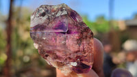 Natural Window Amethyst Crystal Specimens  x 12 From Chiredzi, Zimbabwe