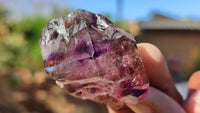 Natural Window Amethyst Crystal Specimens  x 12 From Chiredzi, Zimbabwe