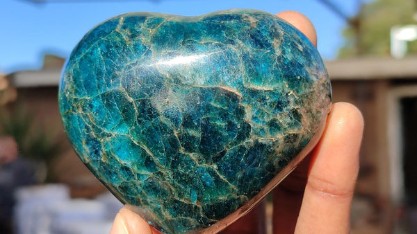 Polished Blue Apatite Hearts  x 6 From Madagascar