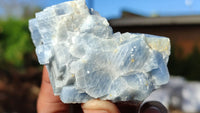 Natural New Sky Blue Calcite Specimens  x 24 From Spitzkop, Namibia