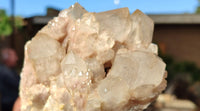 Natural Cascading Smokey Quartz Clusters x 2 From Luena, Congo