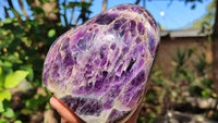 Polished Deep Purple Flower Amethyst Standing Free Form x 1 From Zambia