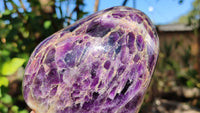 Polished Deep Purple Flower Amethyst Standing Free Form x 1 From Zambia