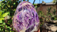 Polished Deep Purple Flower Amethyst Standing Free Form x 1 From Zambia