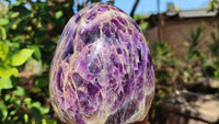 Polished Deep Purple Flower Amethyst Standing Free Form x 1 From Zambia