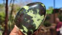 Polished Spotted Leopard Stone Standing Free Forms  x 7 From Zimbabwe