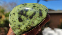 Polished Spotted Leopard Stone Standing Free Forms  x 7 From Zimbabwe