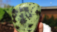 Polished Spotted Leopard Stone Standing Free Forms  x 7 From Zimbabwe