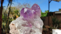 Natural Jacaranda Amethyst Clusters x 2 From Zambia