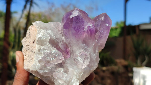 Natural Jacaranda Amethyst Clusters x 2 From Zambia