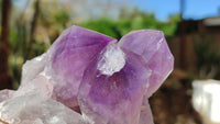 Natural Jacaranda Amethyst Clusters x 2 From Zambia