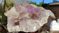 Natural Jacaranda Amethyst Clusters x 2 From Zambia