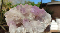 Natural Jacaranda Amethyst Clusters x 2 From Zambia