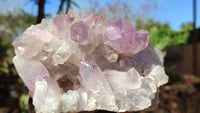 Natural Jacaranda Amethyst Clusters x 2 From Zambia