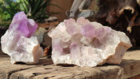 Natural Jacaranda Amethyst Clusters x 2 From Zambia