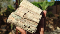 Polished Petrified Wood Branch Pieces x 2 From Gokwe, Zimbabwe