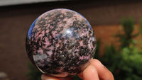 Polished Pink & Black Rhodonite Spheres x 3 From Madagascar