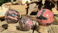 Polished Pink & Black Rhodonite Spheres x 3 From Madagascar