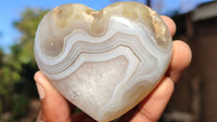 Polished Stunning Agate Gemstone Hearts x 6 From Madagascar