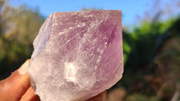 Natural Single Jacaranda Amethyst Crystals x 12 From Mumbwe, Zambia