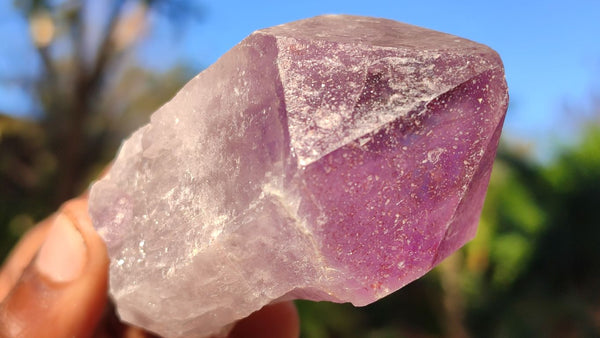 Natural Single Jacaranda Amethyst Crystals x 12 From Mumbwe, Zambia