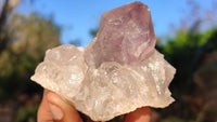 Natural Single Jacaranda Amethyst Crystals x 12 From Mumbwe, Zambia