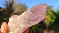 Natural Single Jacaranda Amethyst Crystals x 12 From Mumbwe, Zambia