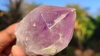 Natural Single Jacaranda Amethyst Crystals x 12 From Mumbwe, Zambia