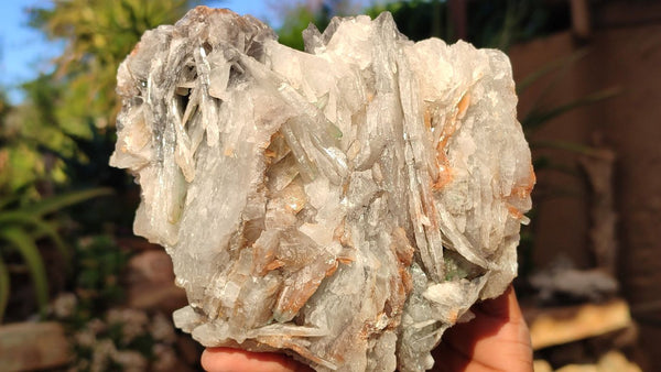 Natural Extra Large Bladed Barite Specimen  x 1 From Congo