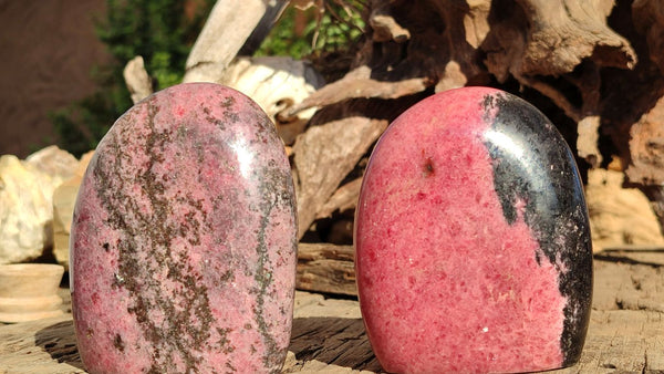 Polished Pink & Black Rhodonite Standing Free Forms x 2 From Madagascar