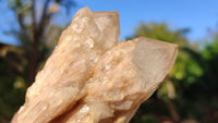 Natural Cascading White Phantom Smokey Quartz Clusters x 6 From Luena, Congo