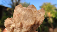 Natural Cascading White Phantom Smokey Quartz Clusters x 6 From Luena, Congo