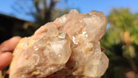 Natural Cascading White Phantom Smokey Quartz Clusters x 6 From Luena, Congo