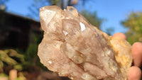 Natural Cascading White Phantom Smokey Quartz Clusters x 6 From Luena, Congo