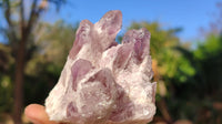 Natural Sugar Amethyst Clusters  x 6 From Solwezi, Zambia