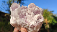 Natural Sugar Amethyst Clusters  x 6 From Solwezi, Zambia