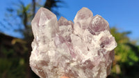 Natural Sugar Amethyst Clusters  x 6 From Solwezi, Zambia