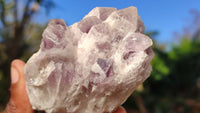 Natural Sugar Amethyst Clusters  x 6 From Solwezi, Zambia