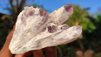 Natural Sugar Amethyst Clusters  x 6 From Solwezi, Zambia