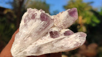 Natural Sugar Amethyst Clusters  x 6 From Solwezi, Zambia